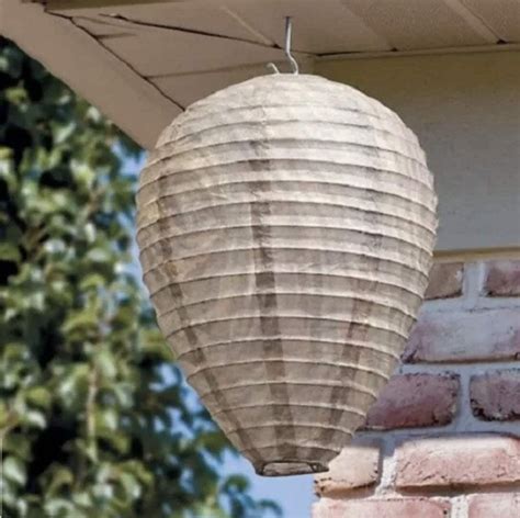 do artificial wasp nests work.